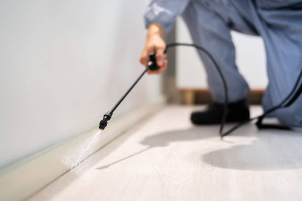 Bed Bug Pre-Treatment Preparation Assessment in Haven